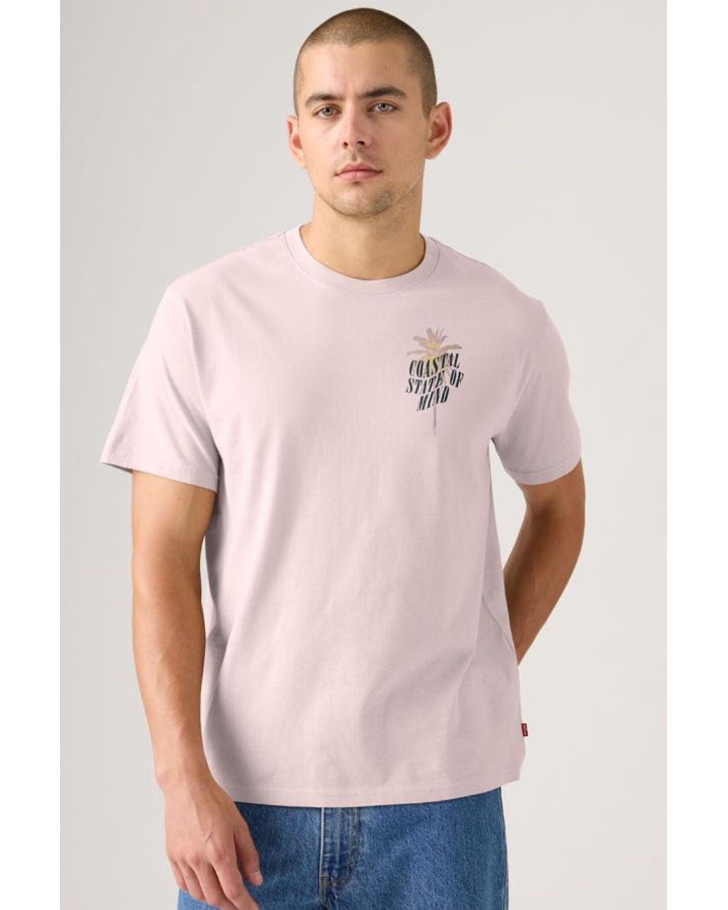 Levi's Pink Relaxed Fit Graphic Tee for men