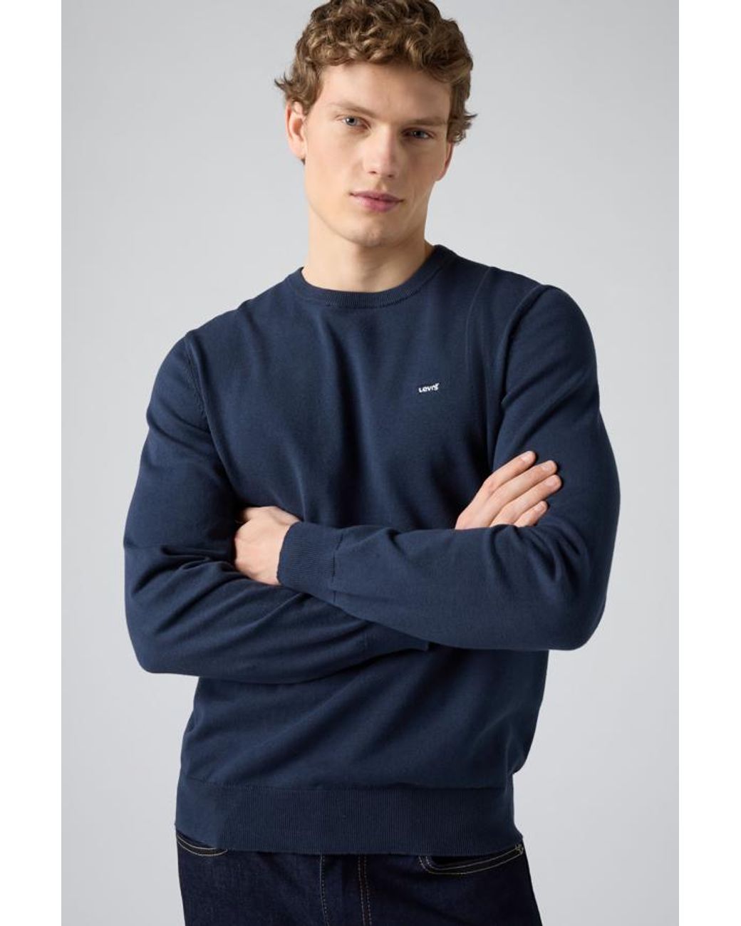 Levi's Blue Lightweight Housemark Sweater for men