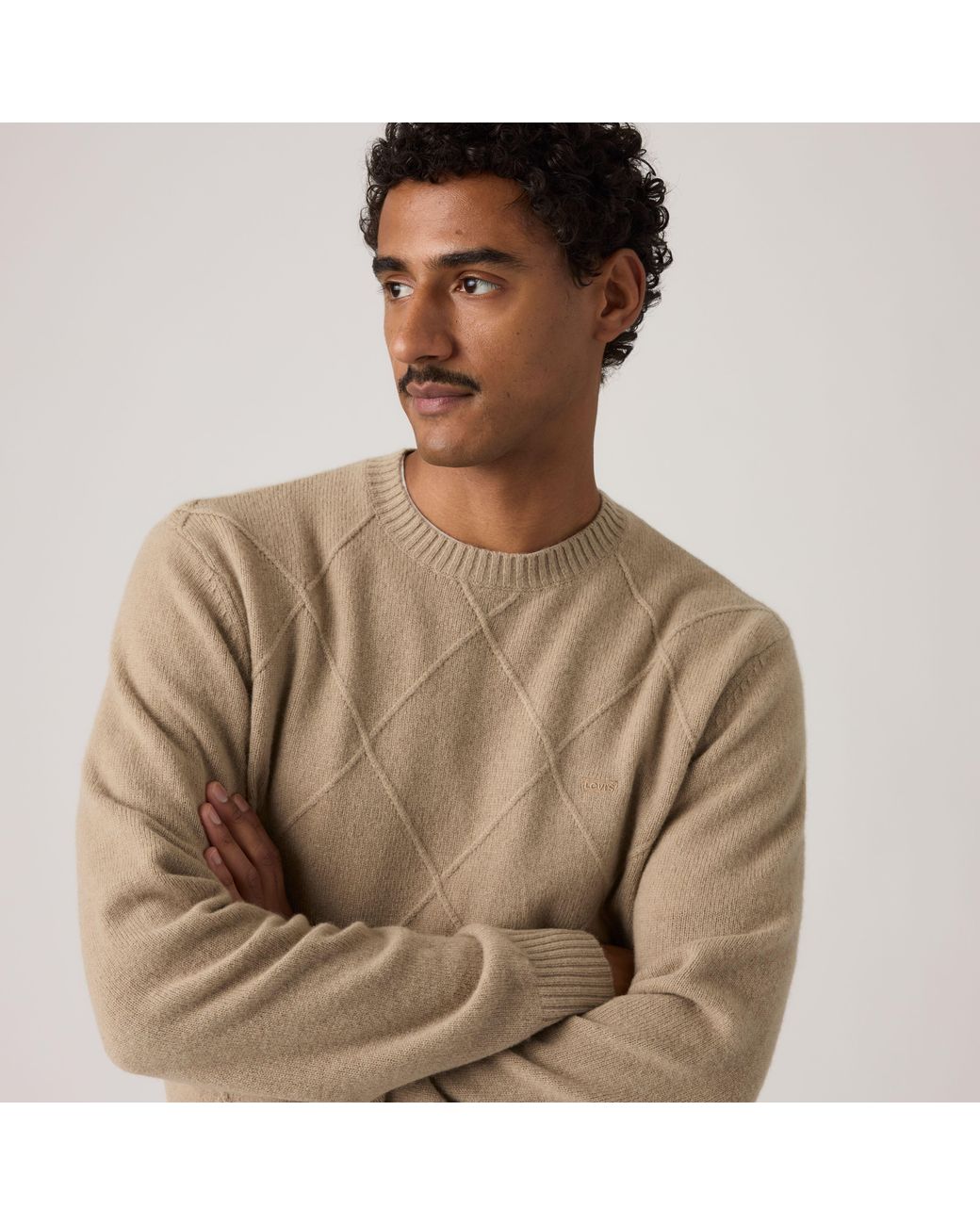 Levi's Natural Original Housemark Sweater for men