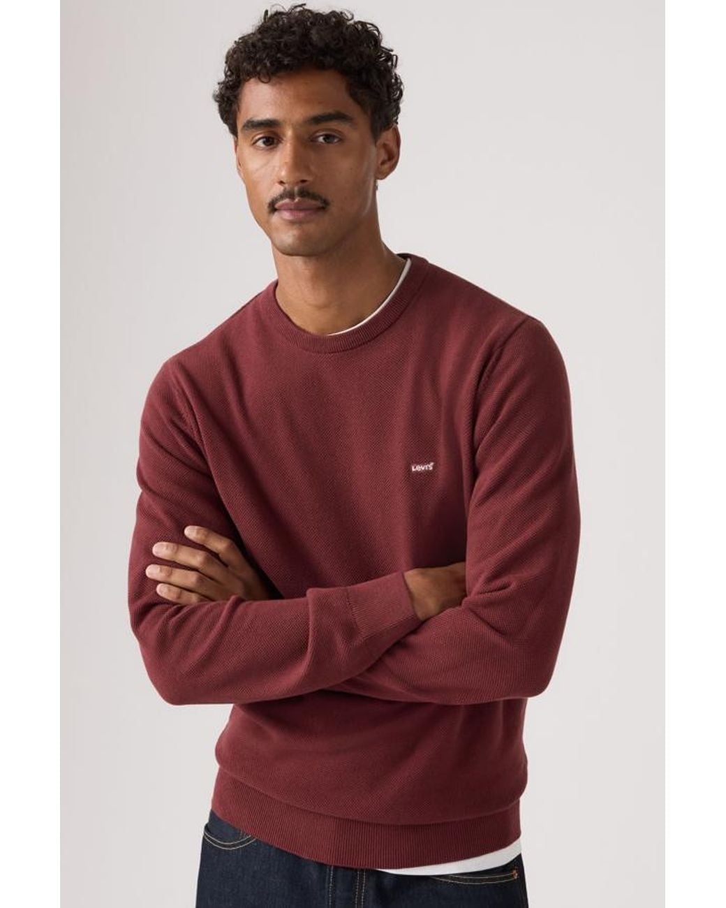 Levi's Red Lightweight Housemark Sweater for men