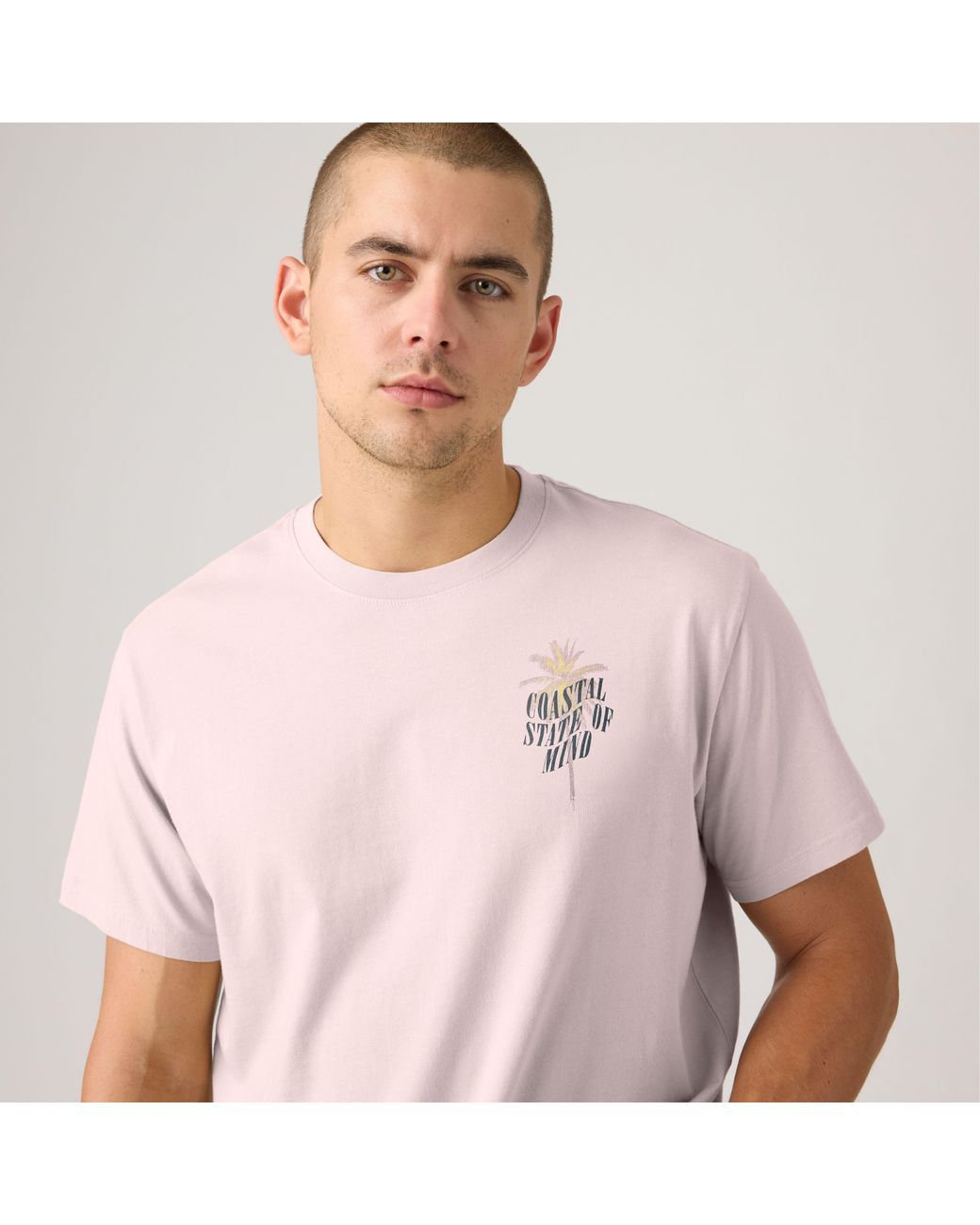 Levi's Pink Relaxed Fit Graphic Tee for men