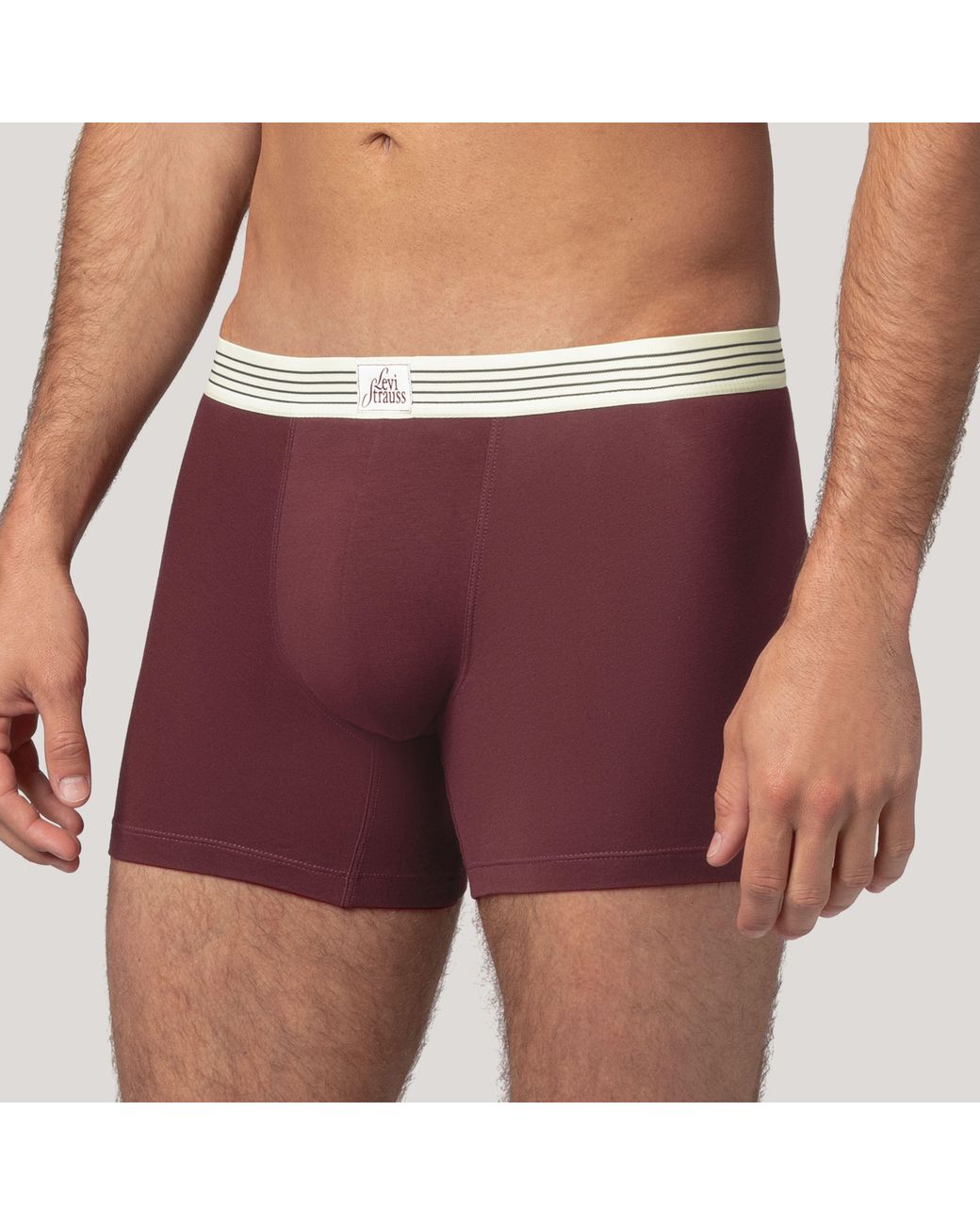 Levi's Red Patch Boxer Brief 2 Pack for men