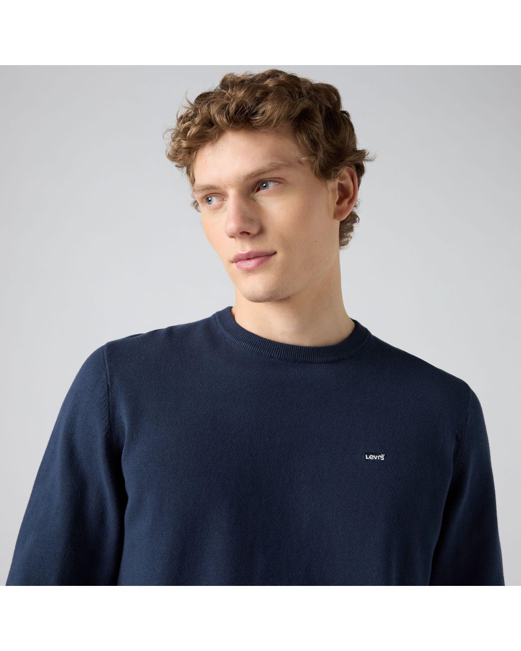 Levi's Blue Lightweight Housemark Sweater for men