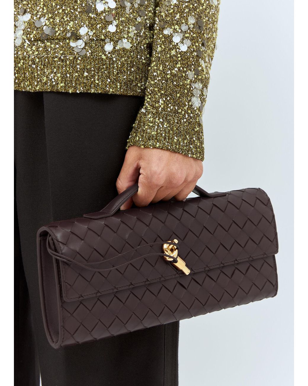 Bottega Veneta Multicolor Long Andiamo Clutch