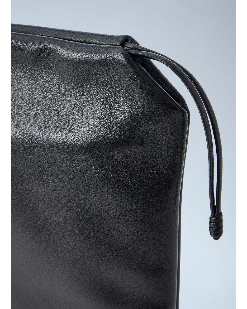 The Row Blue Ray Pouch