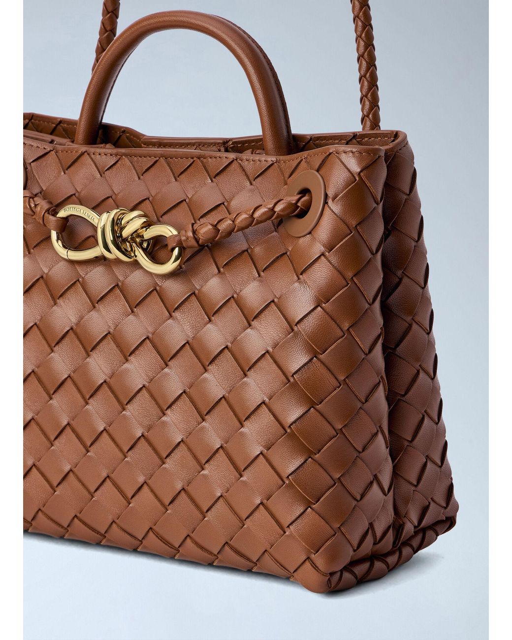 Bottega Veneta Brown Small Andiamo Handbag