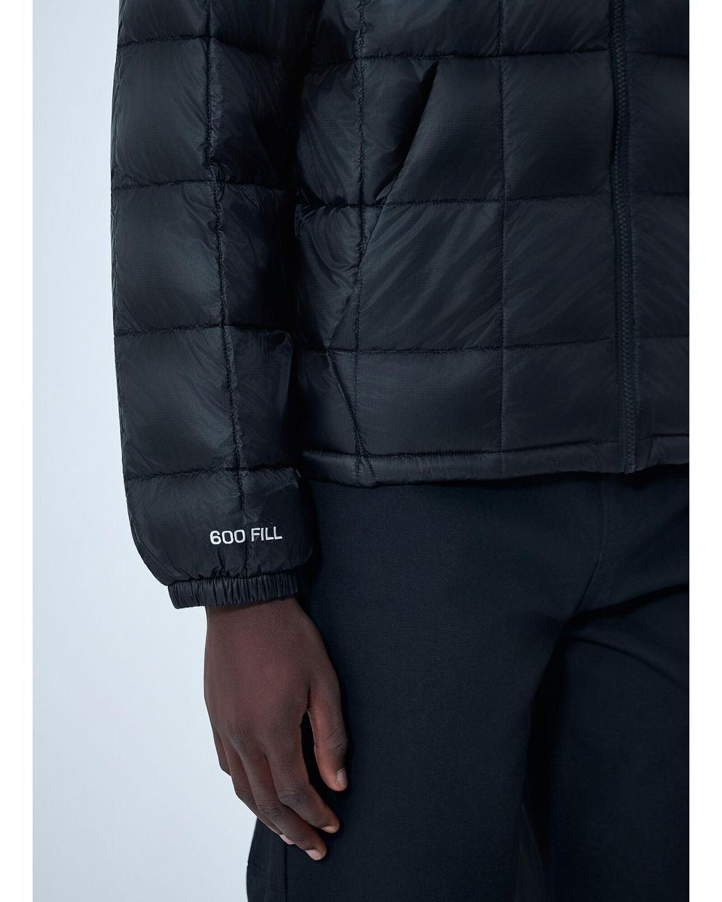 Stussy Blue Midweight Padded Jacket for men