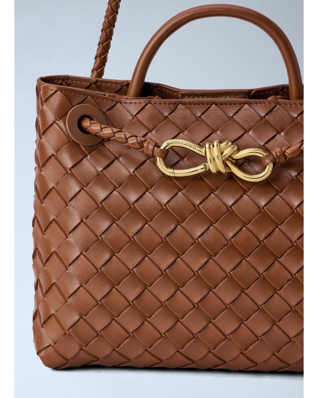Bottega Veneta Brown Small Andiamo Handbag