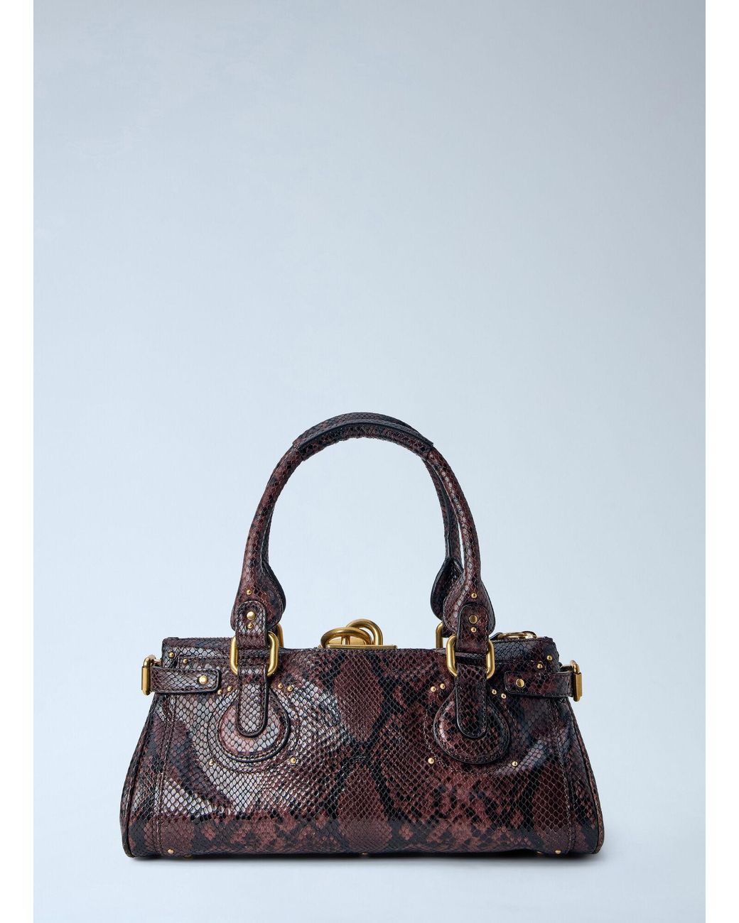 Chloé Multicolor Chloé Paddington Embossed Python Effect Shoulder Bag