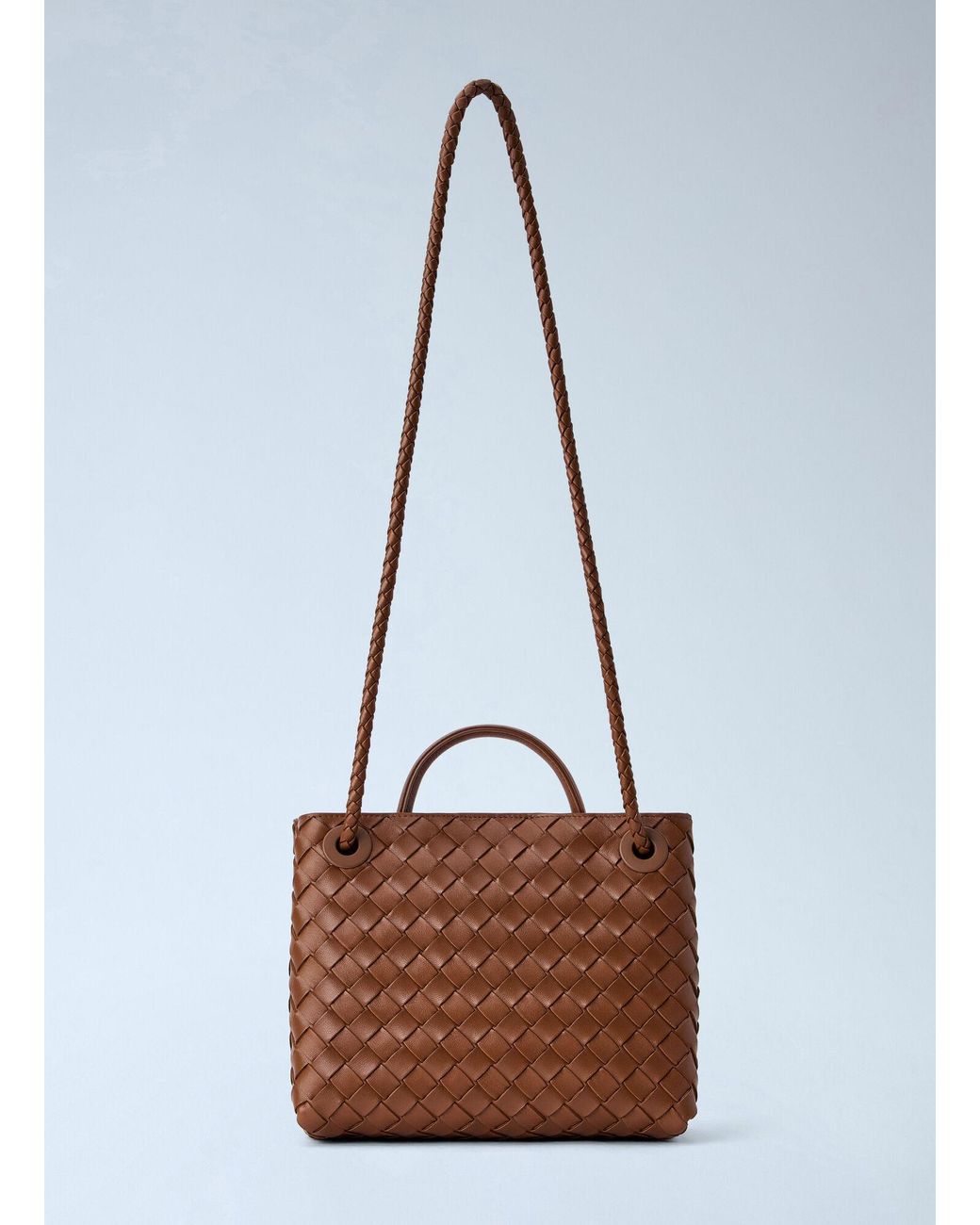 Bottega Veneta Brown Small Andiamo Handbag