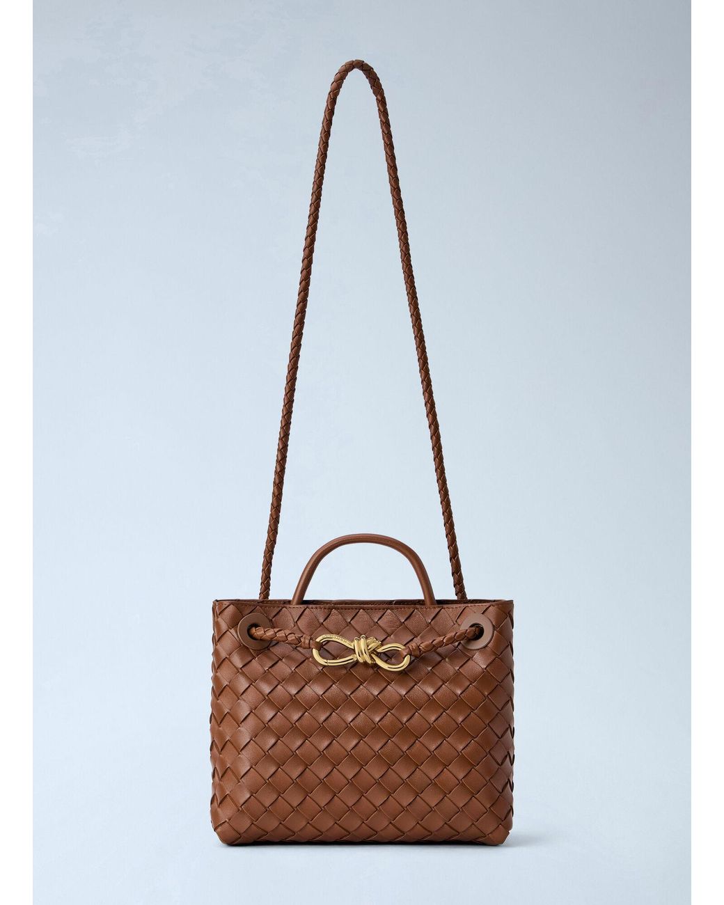 Bottega Veneta Brown Small Andiamo Handbag