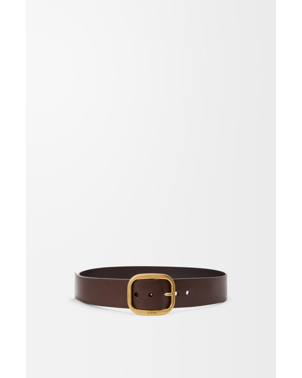 Loewe Multicolor Rounded Soft Belt In Classic Calfskin