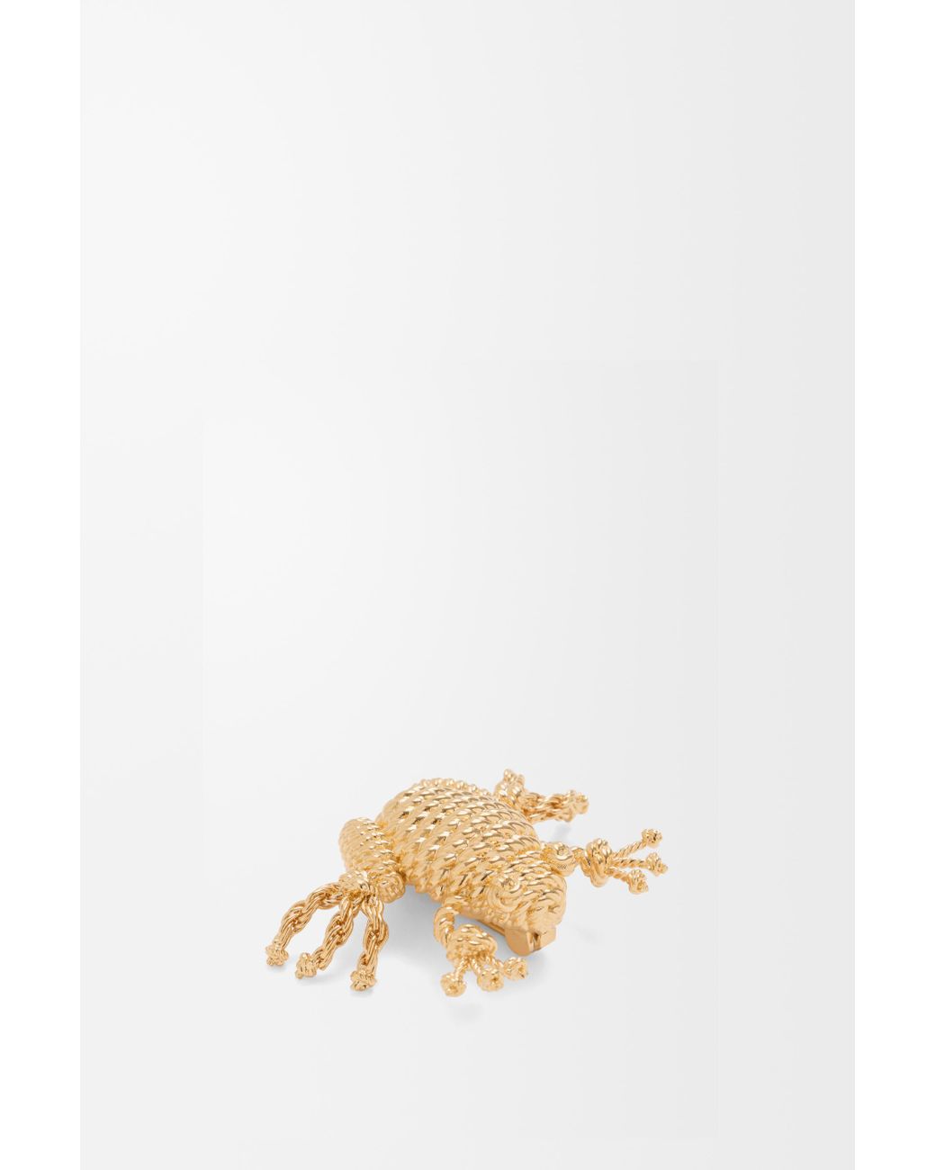 Loewe Natural Frog Brooch For
