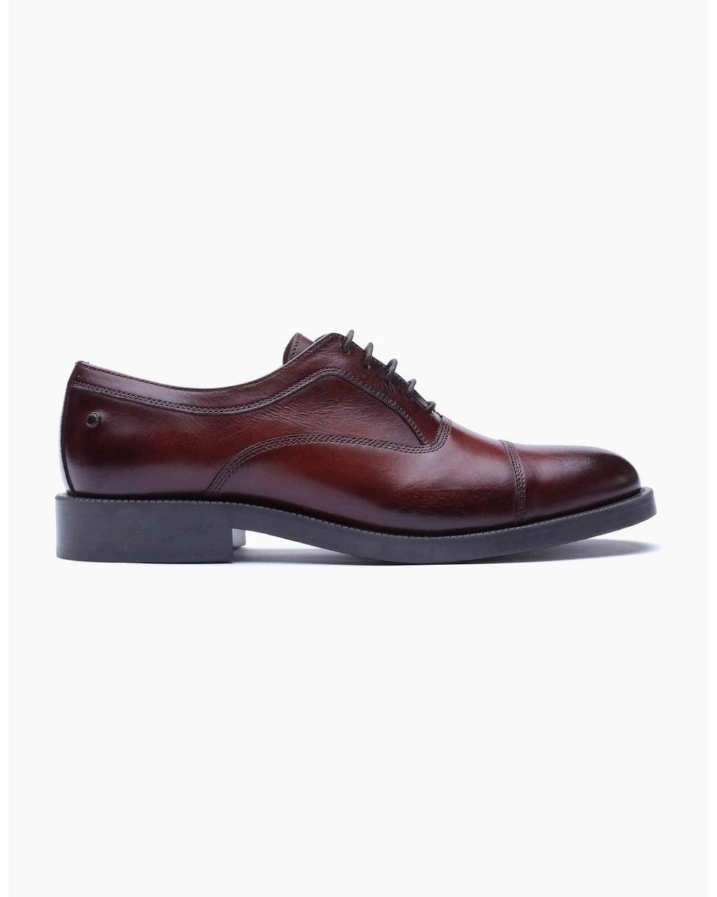 Base London Purple Roma Toe Cap Shoes for men