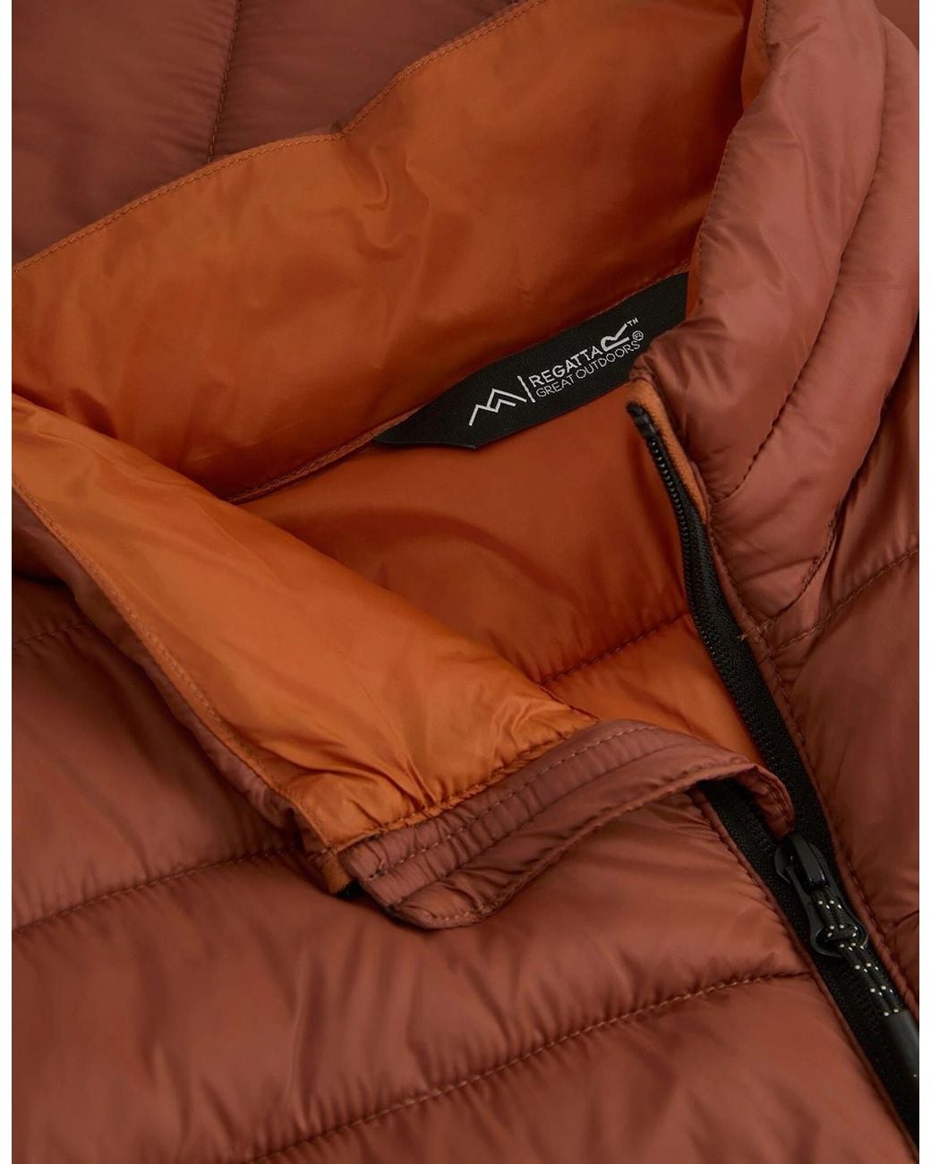 Regatta Brown Marizion Padded Jacket for men