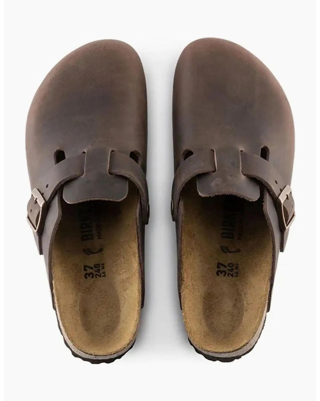 Birkenstock Boston Brown Oiled Leather Clog Habana for men