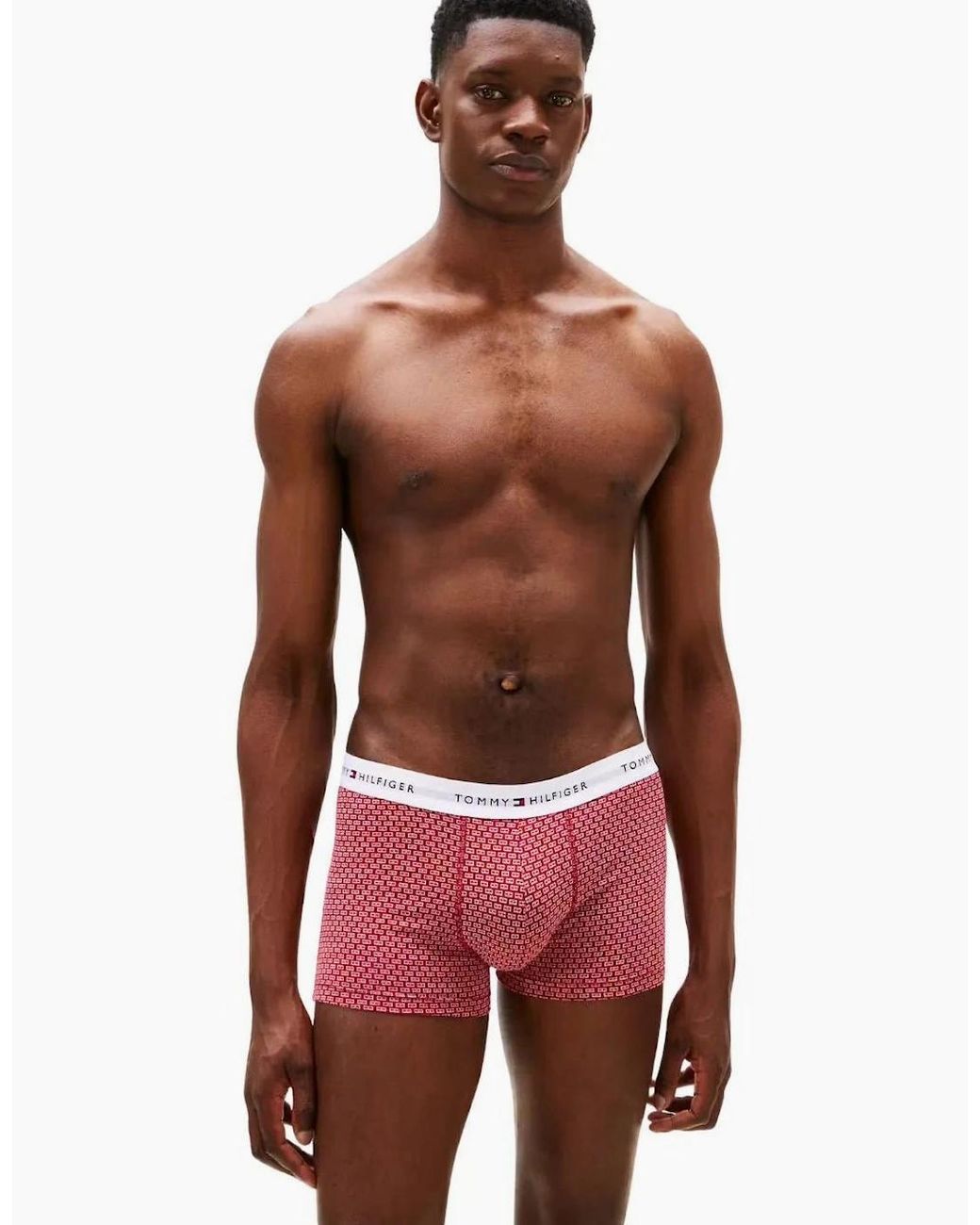 Tommy Hilfiger Blue 3-Pack Signature Cotton Flag Dna Print Boxer Trunks for men