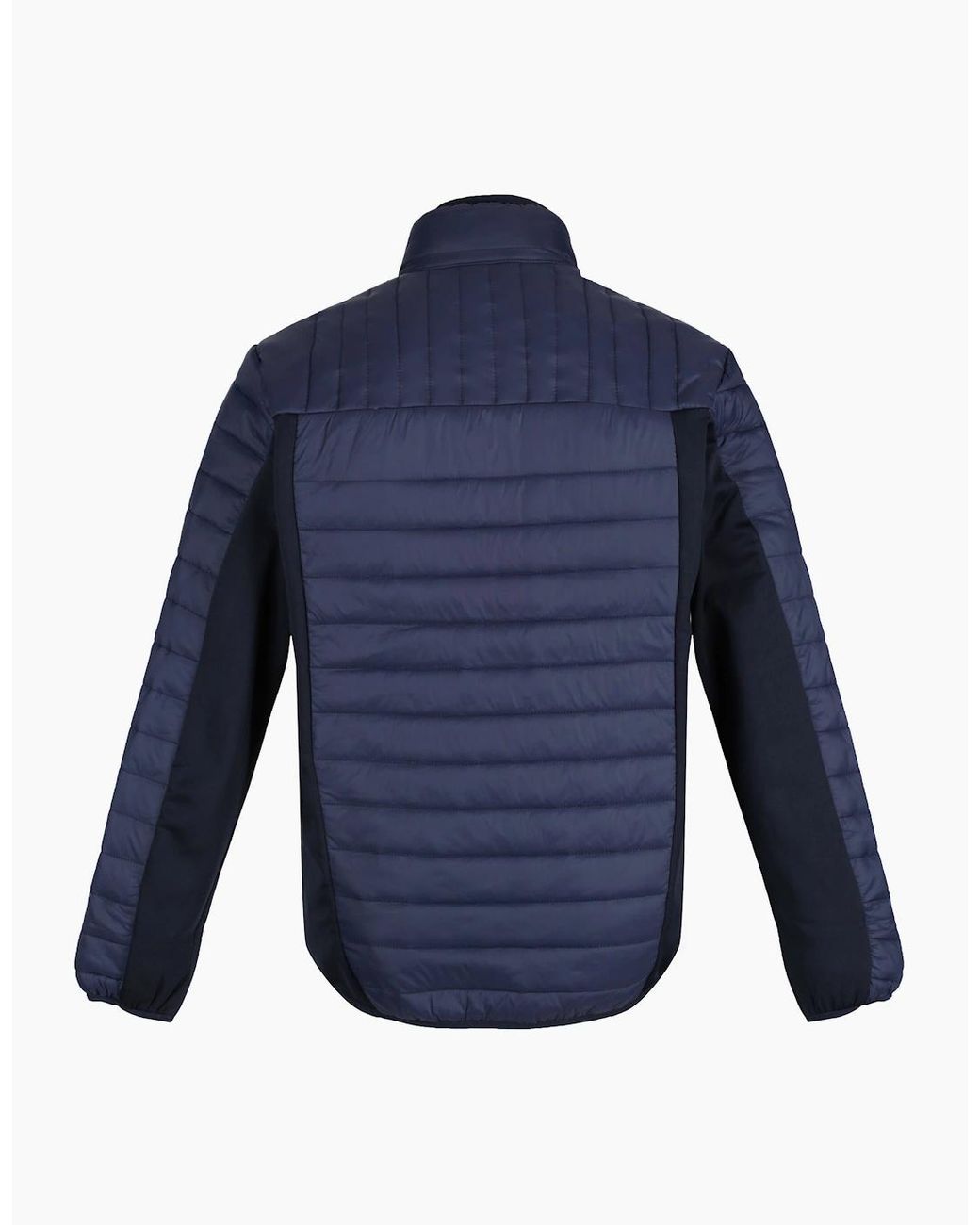 Regatta Blue Professional Hybrid Jacket for men