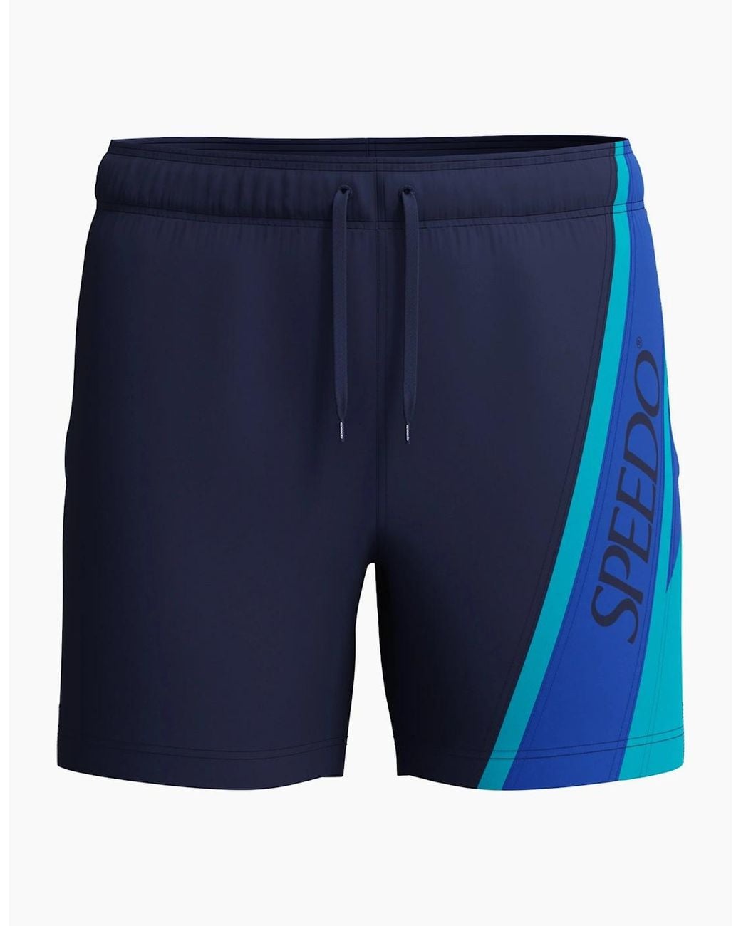 Speedo Blue Hyperboom Volley Swim Shorts for men
