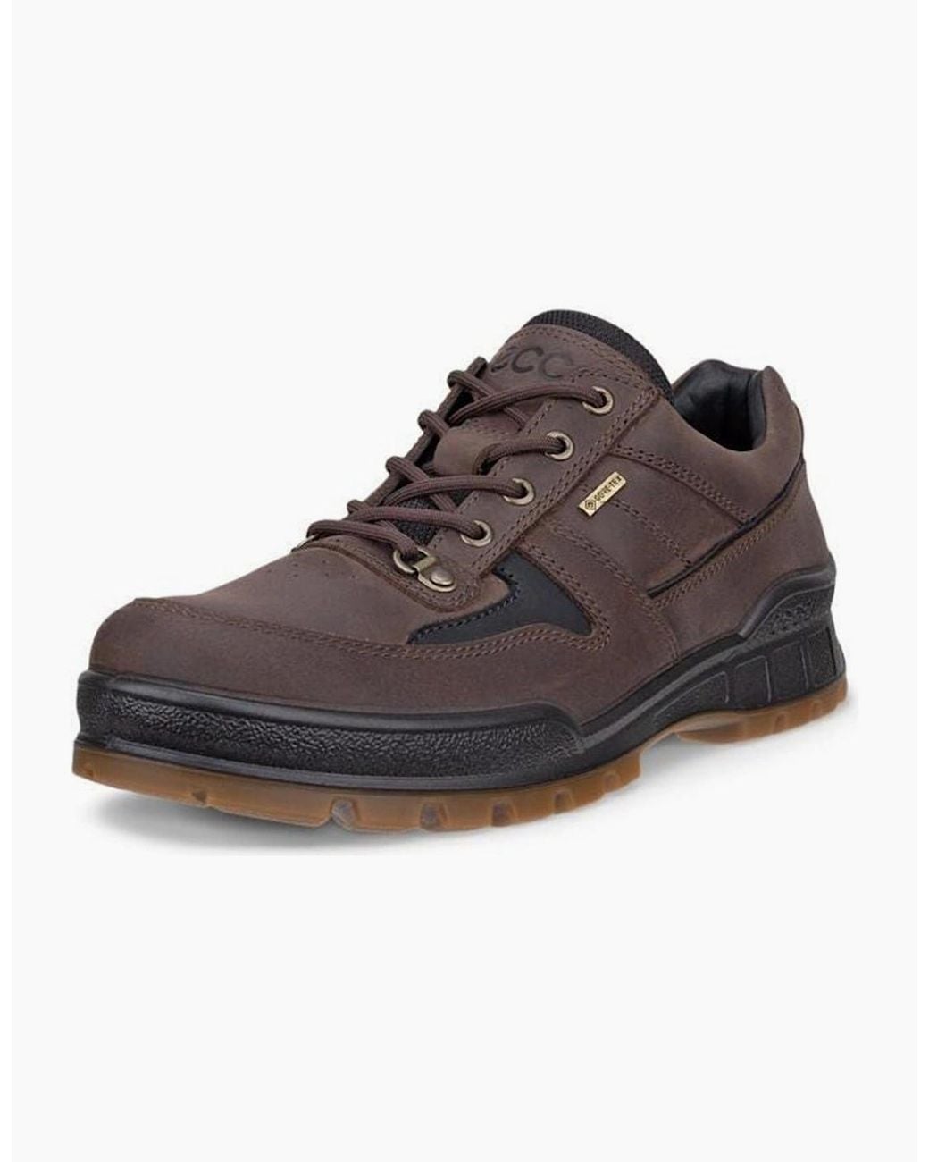 Ecco Brown Track 25 Waterproof Walking Shoes for men