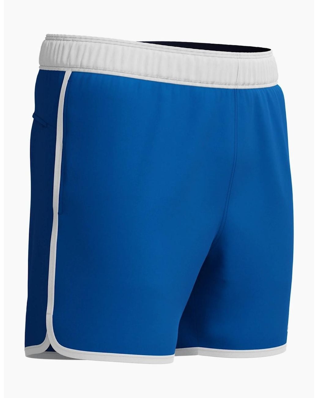 Speedo Blue Volley Logo Swim Shorts for men