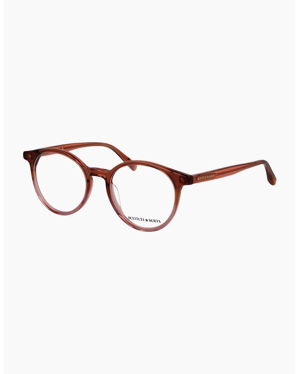 Scotch & Soda Brown Optical Frame Ss3021 211 49