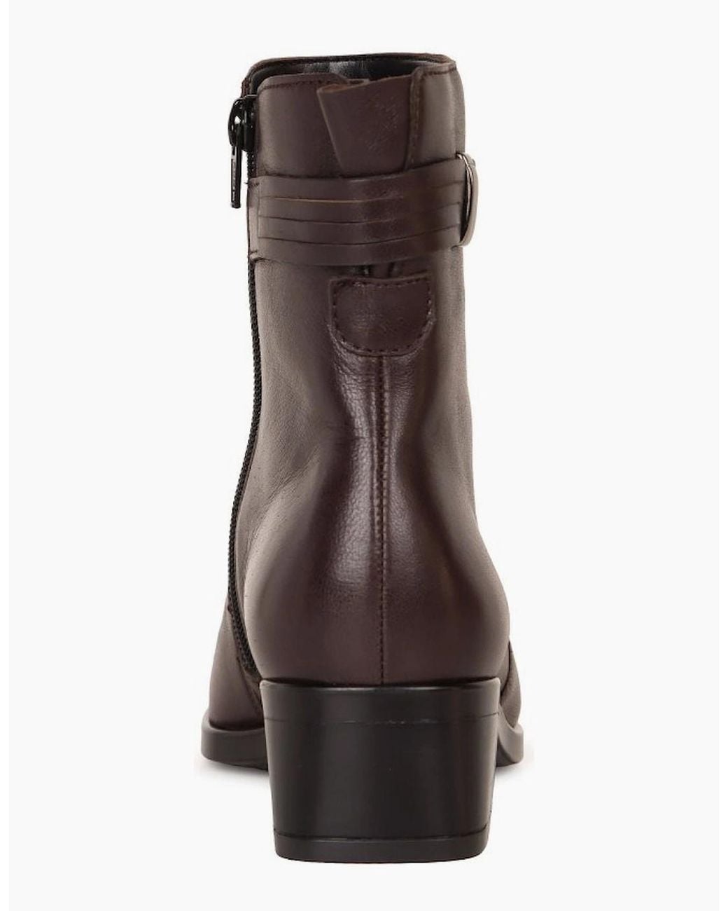 Gabor Brown Palette Ankle Boots