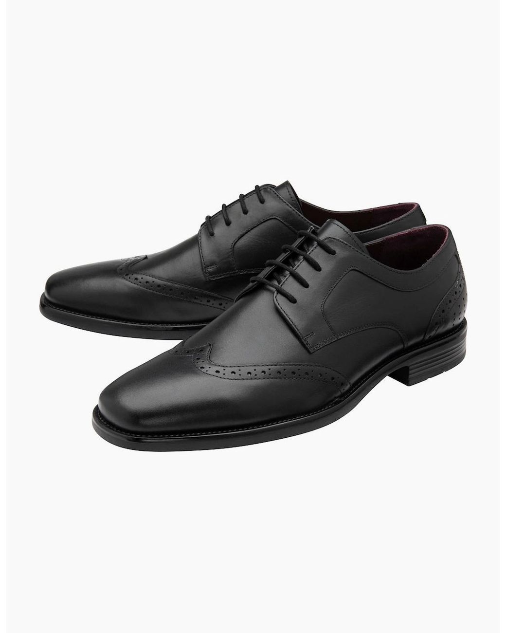 Lotus Black Dartford Wingtip Shoes for men