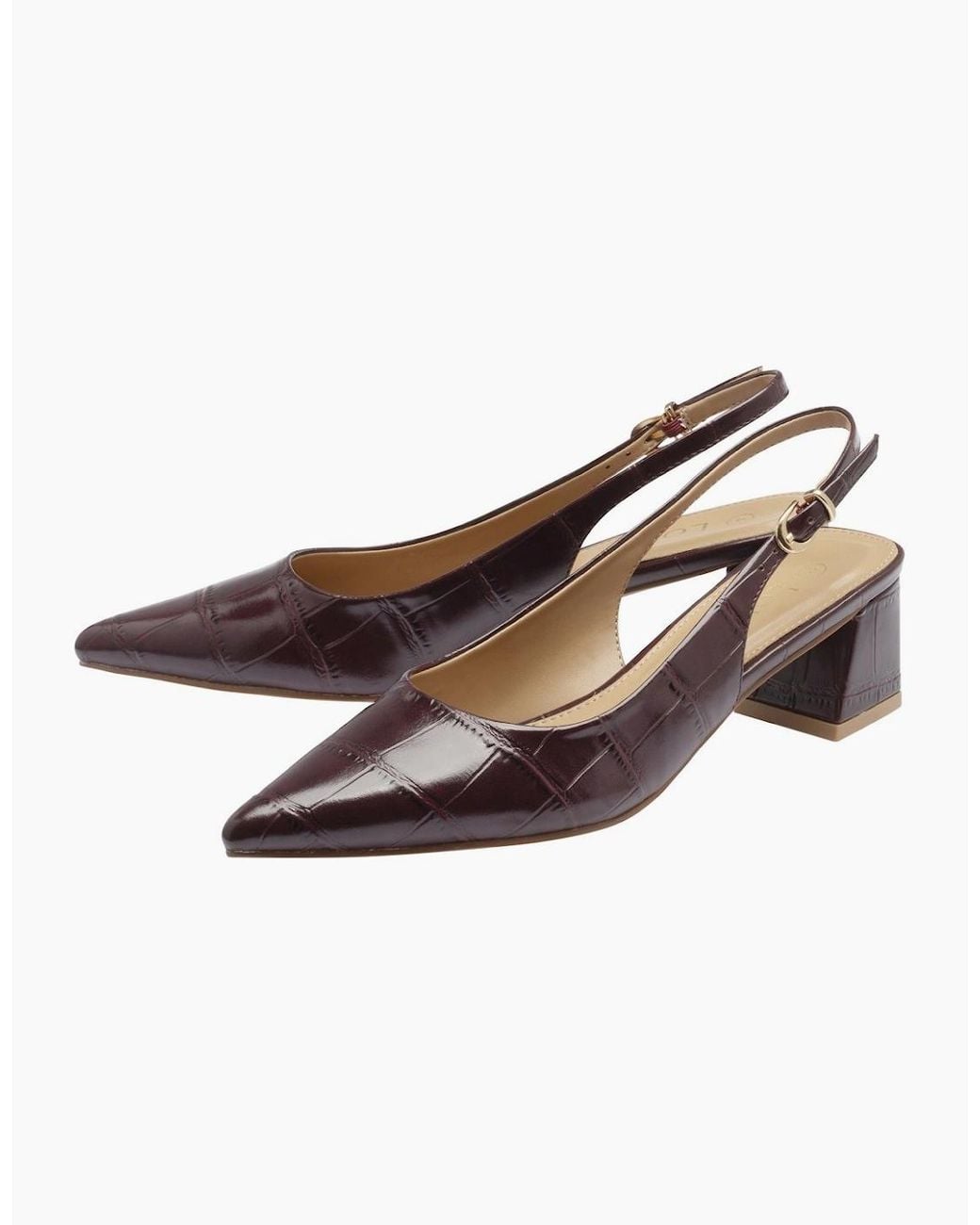 Lotus Brown Arwen Court Shoes