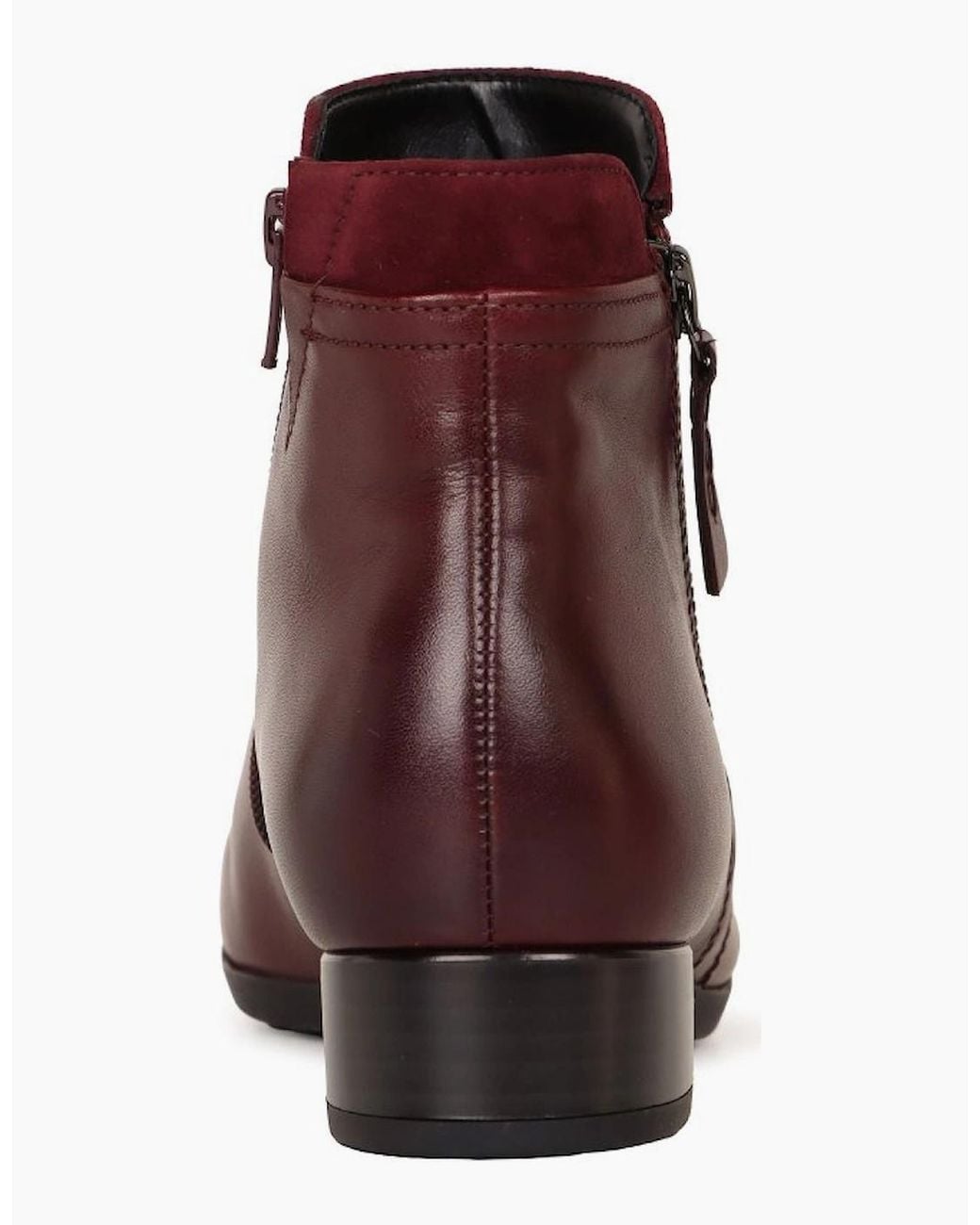 Gabor Purple Briano Ankle Boots