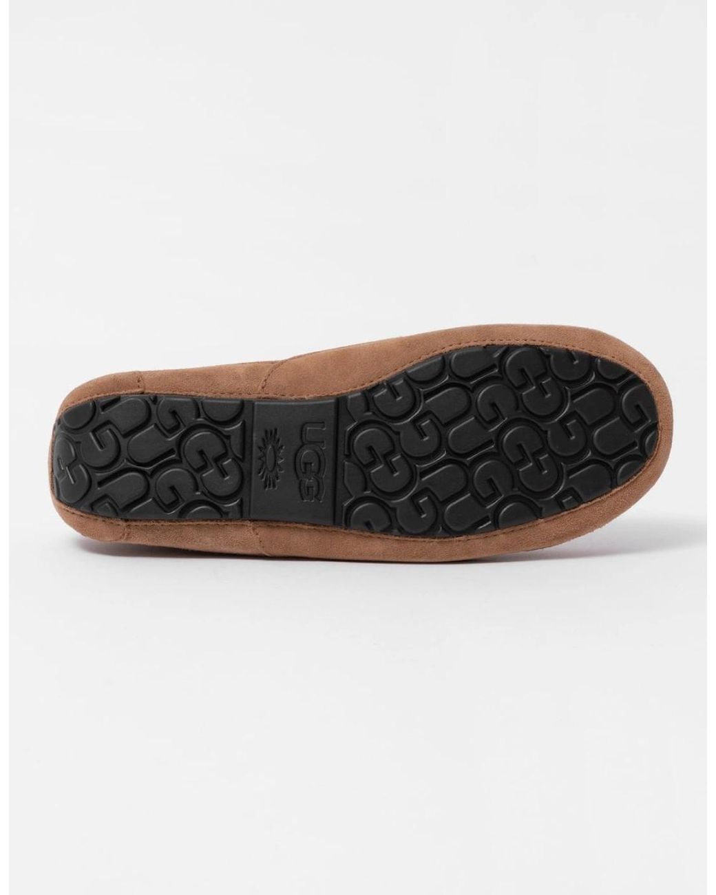 Ugg Brown Ascot Slipper for men