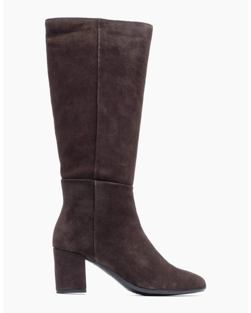 Hush Puppies Brown Oprah Suede Long Leather Chocolate Heeled Knee High Boots