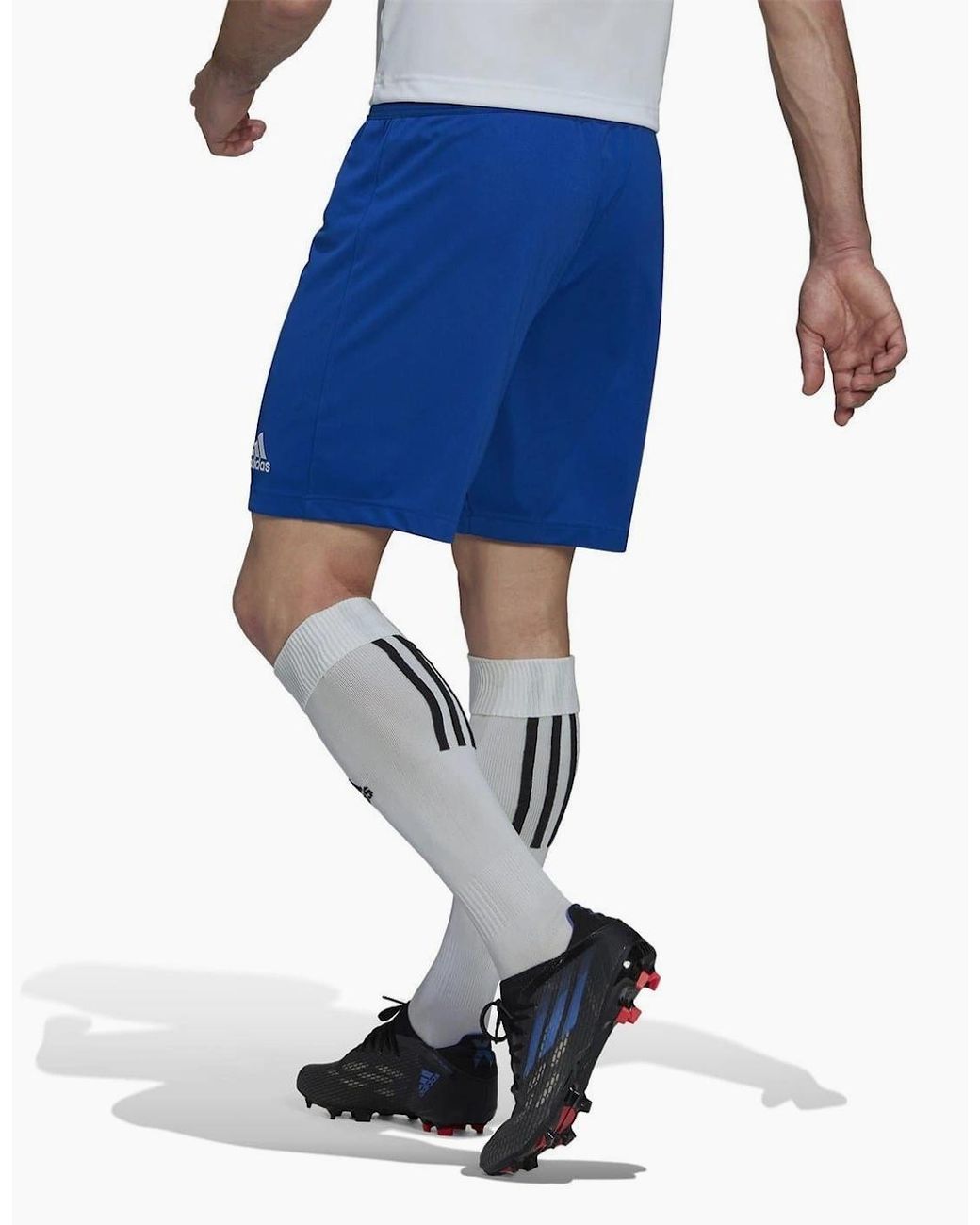 Adidas Blue Entrada 22 Shorts for men