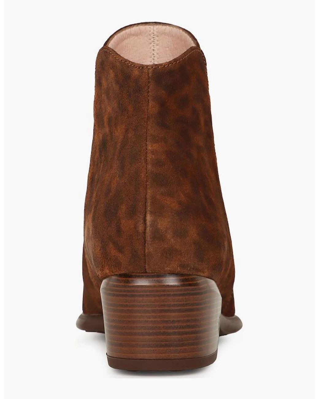 Hispanitas Brown Verona Ankle Boots