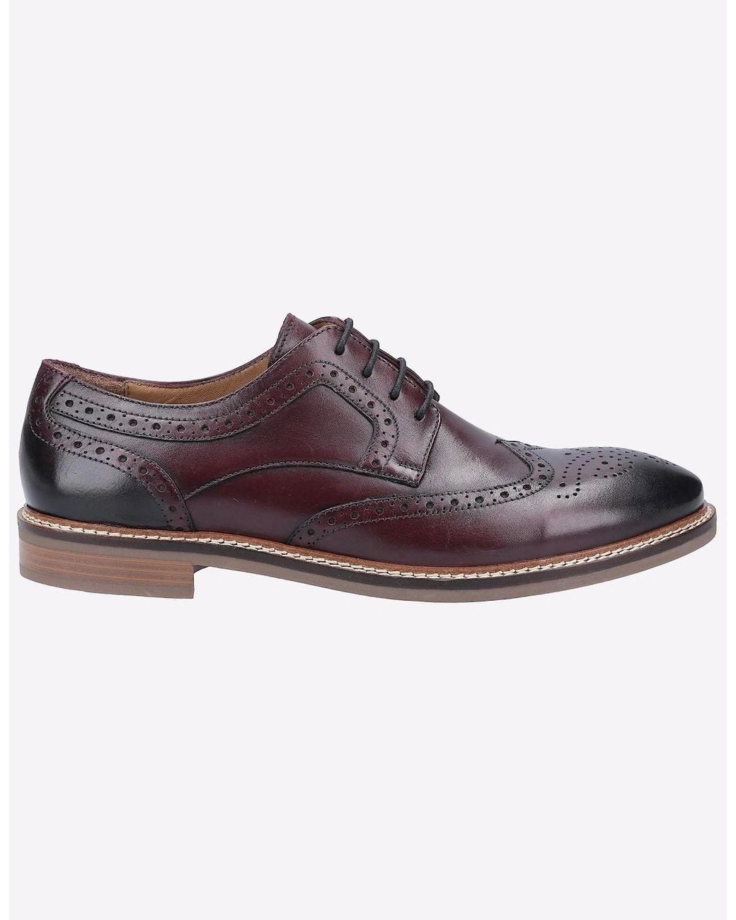 Hush Puppies Brown Bryson Memory Foam Brouge Shoes Bordo for men