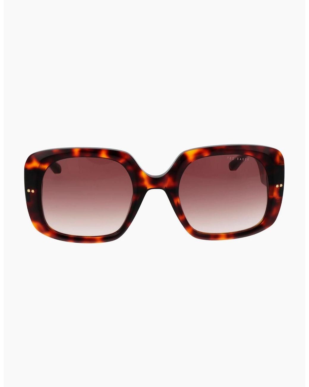 Ted Baker Brown Sunglasses Tb1730 100 53