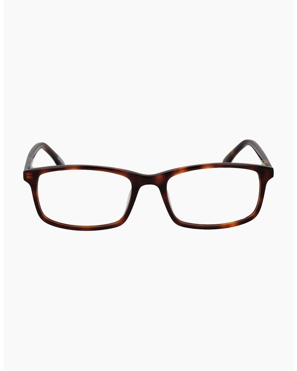 O'neill Sportswear Brown Optical Frame Ono 4522 102 53