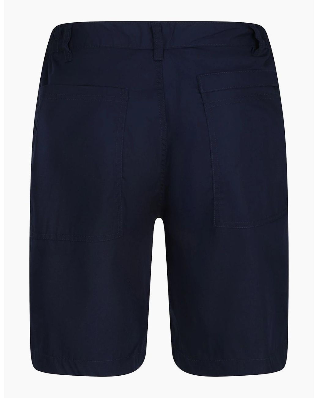 Regatta Blue Professional Shorts for men