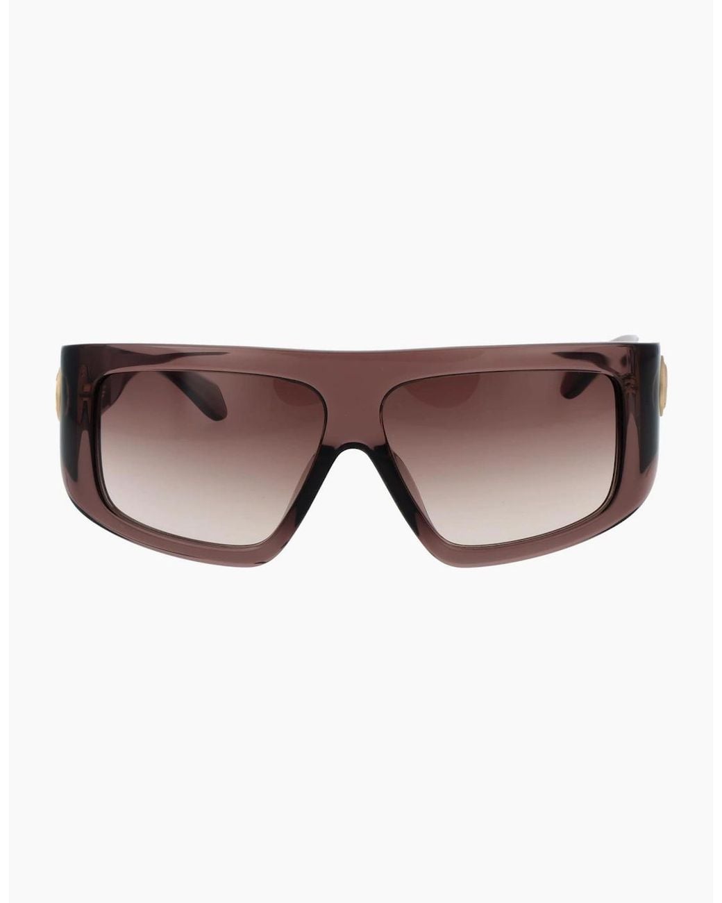 Just Cavalli Brown Sunglasses Sjc145 07Ay 60