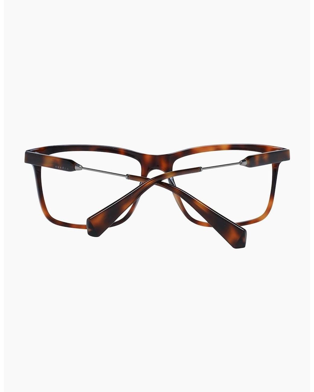 Sandro Brown Optical Frame Sd1009 201 56 for men