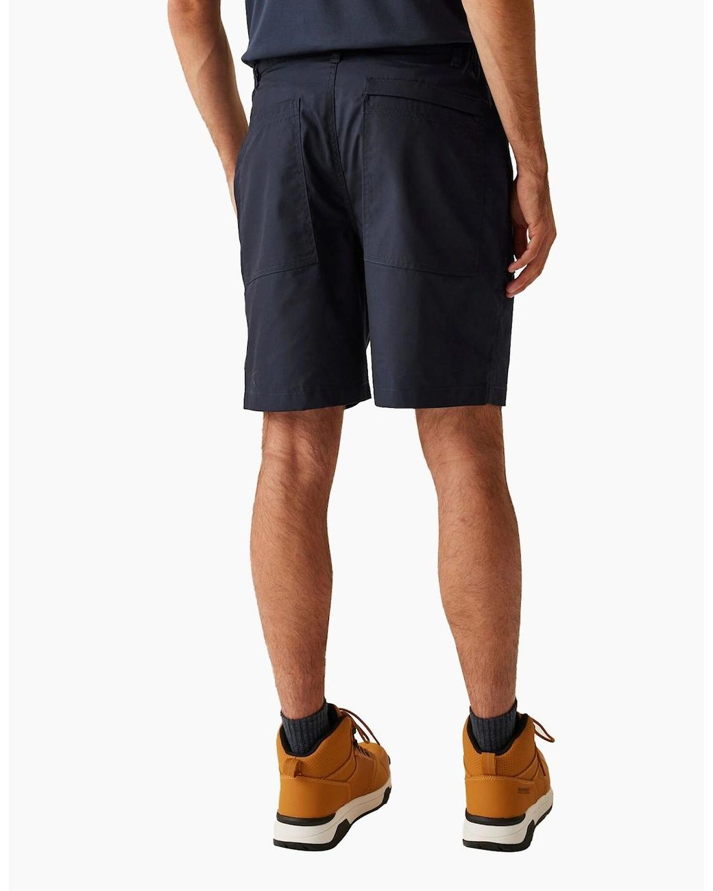 Regatta Blue Professional Shorts for men