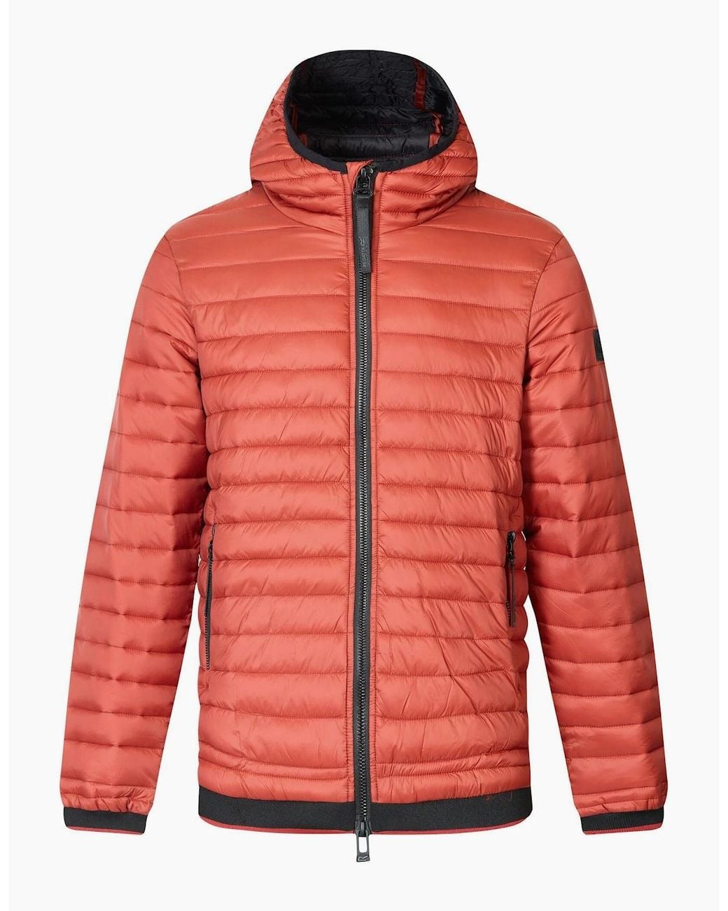 Regatta Red Haile Padded Jacket for men