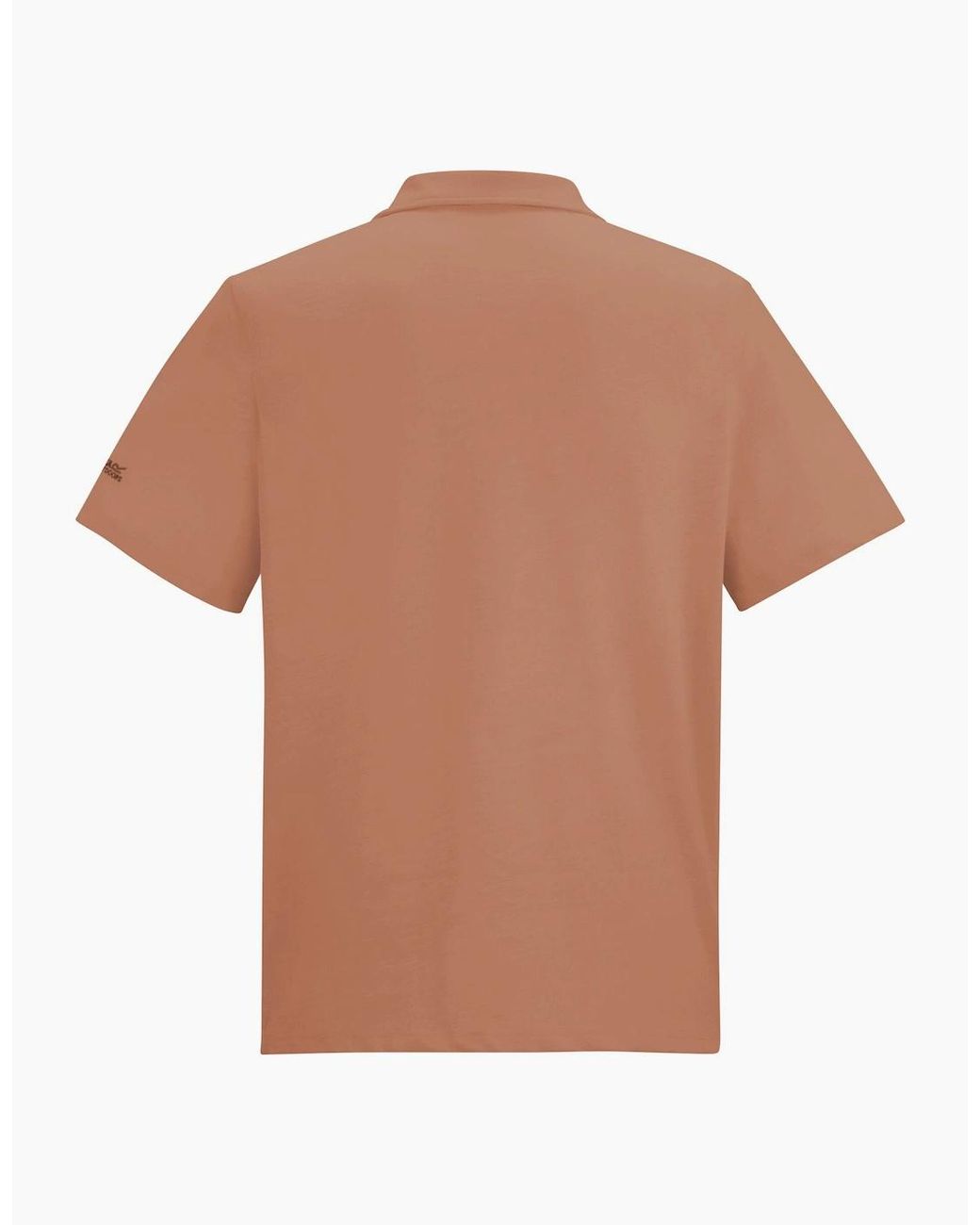 Regatta Brown Hadvo Polo Shirt for men