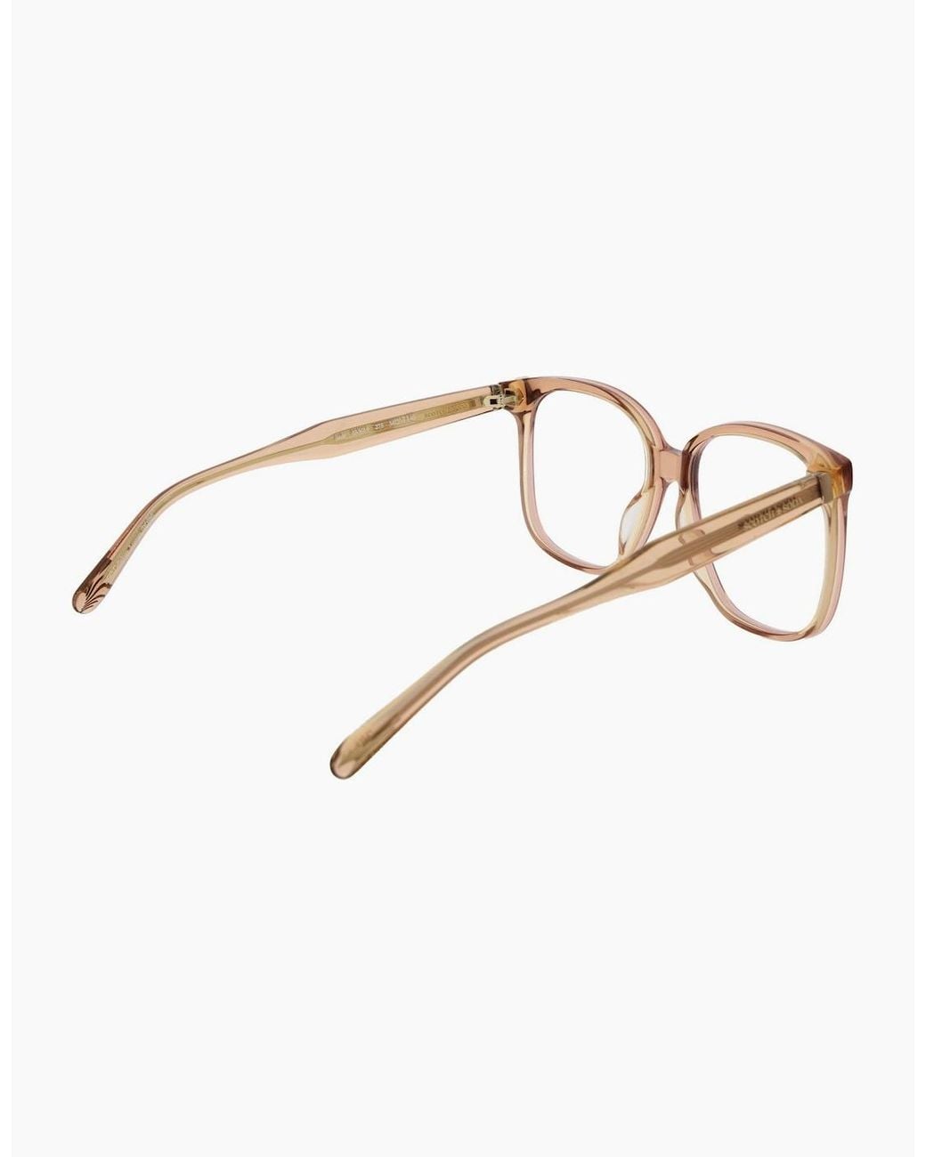 Scotch & Soda Brown Optical Frame Ss3019 275 56