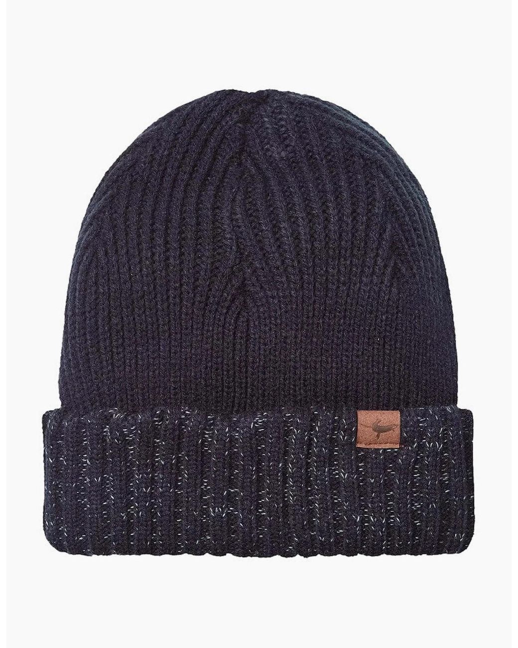 SealSkinz Blue Bacton Beanie for men