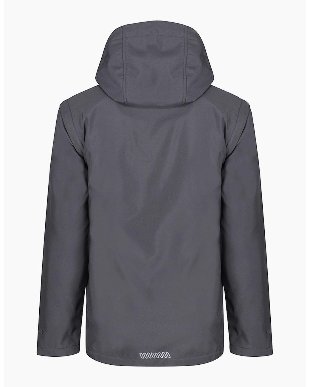 Regatta Blue Erasmus 4 for men