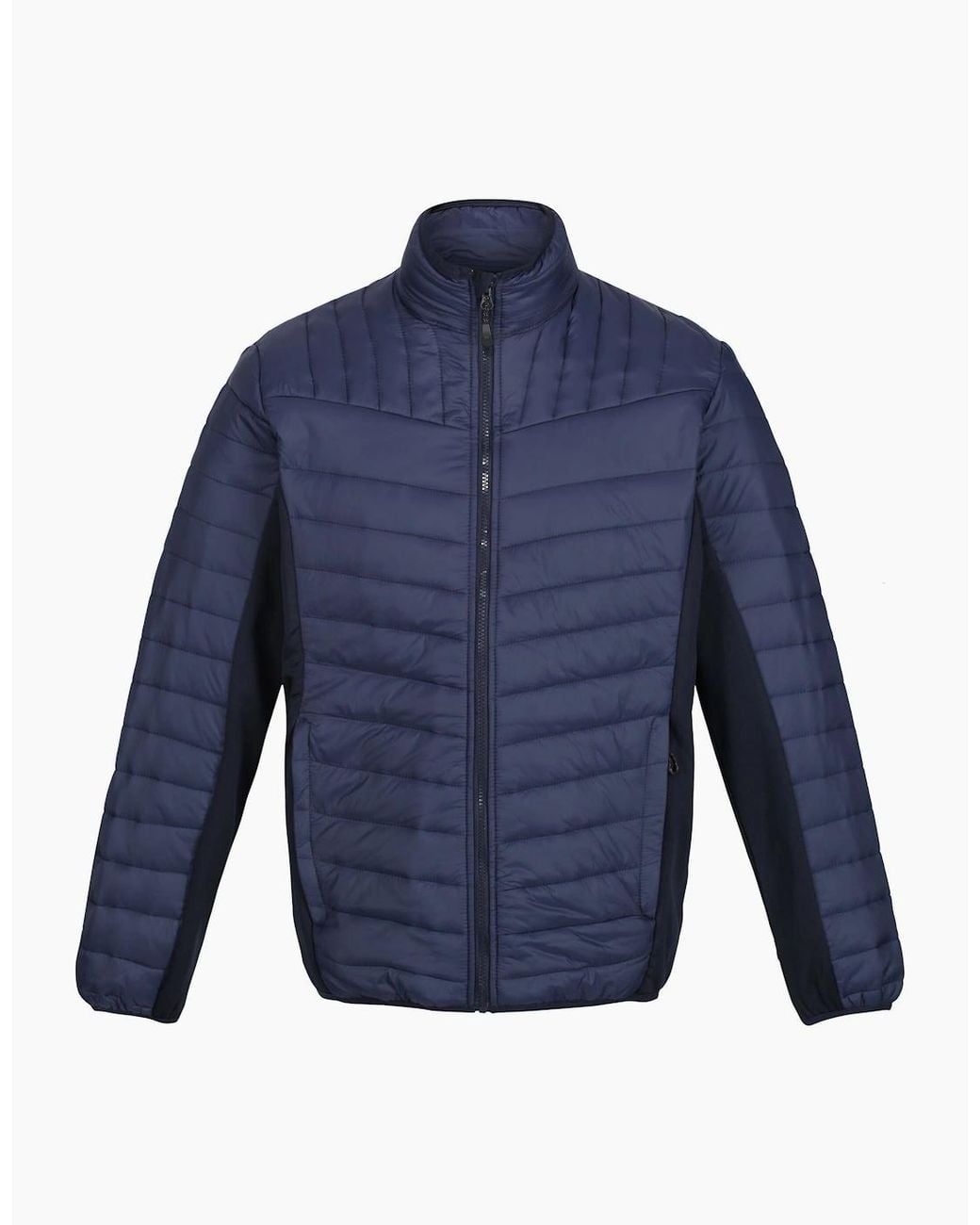 Regatta Blue Professional Hybrid Jacket for men