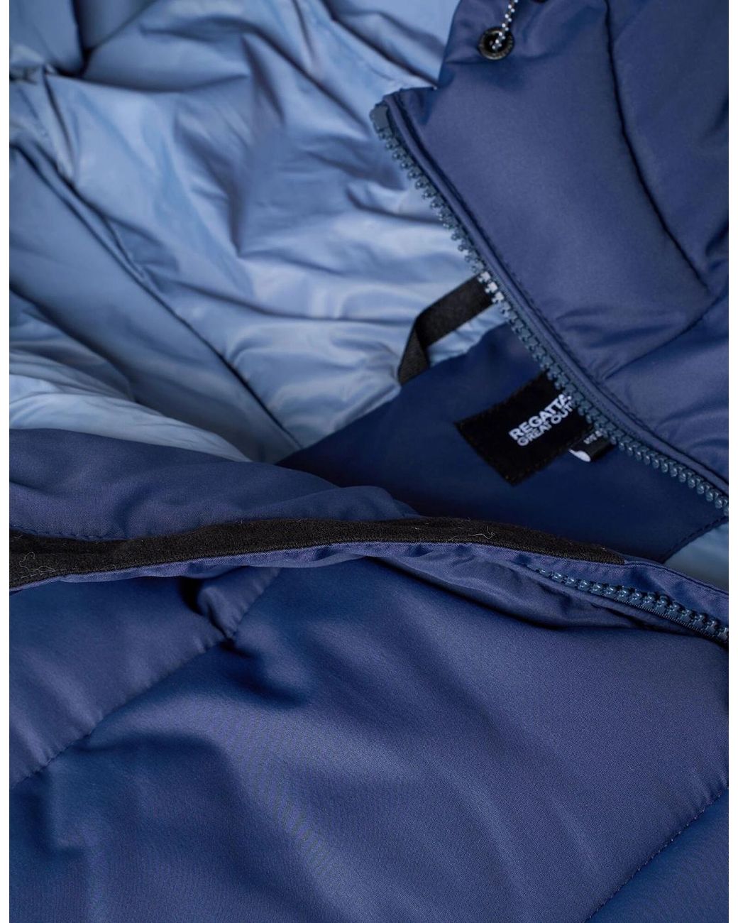 Regatta Blue Marek Short Padded Jacket for men