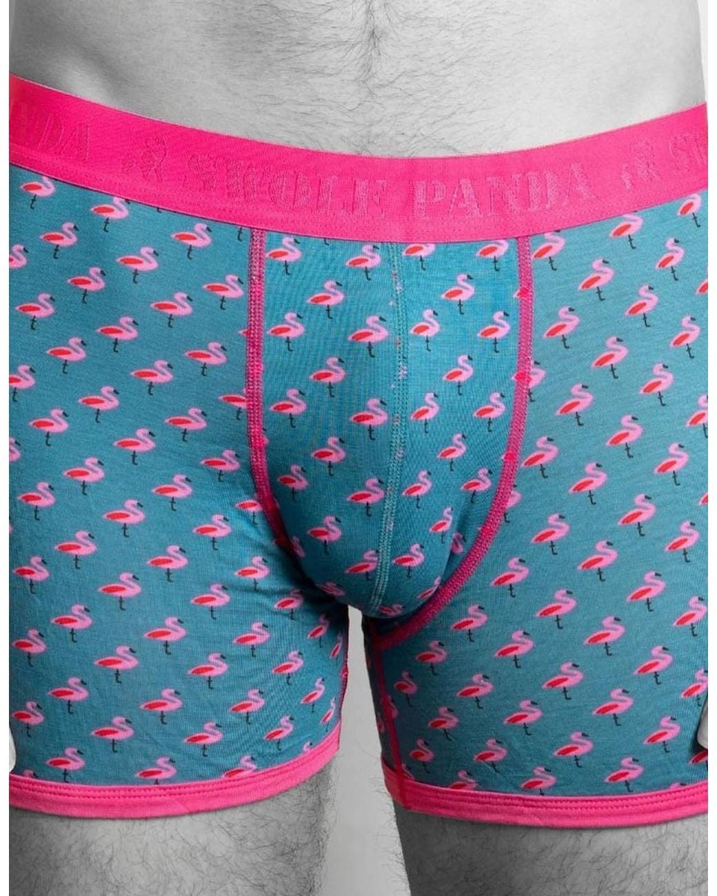 Swole Panda Blue Flamingos Bamboo Boxer Brief for men