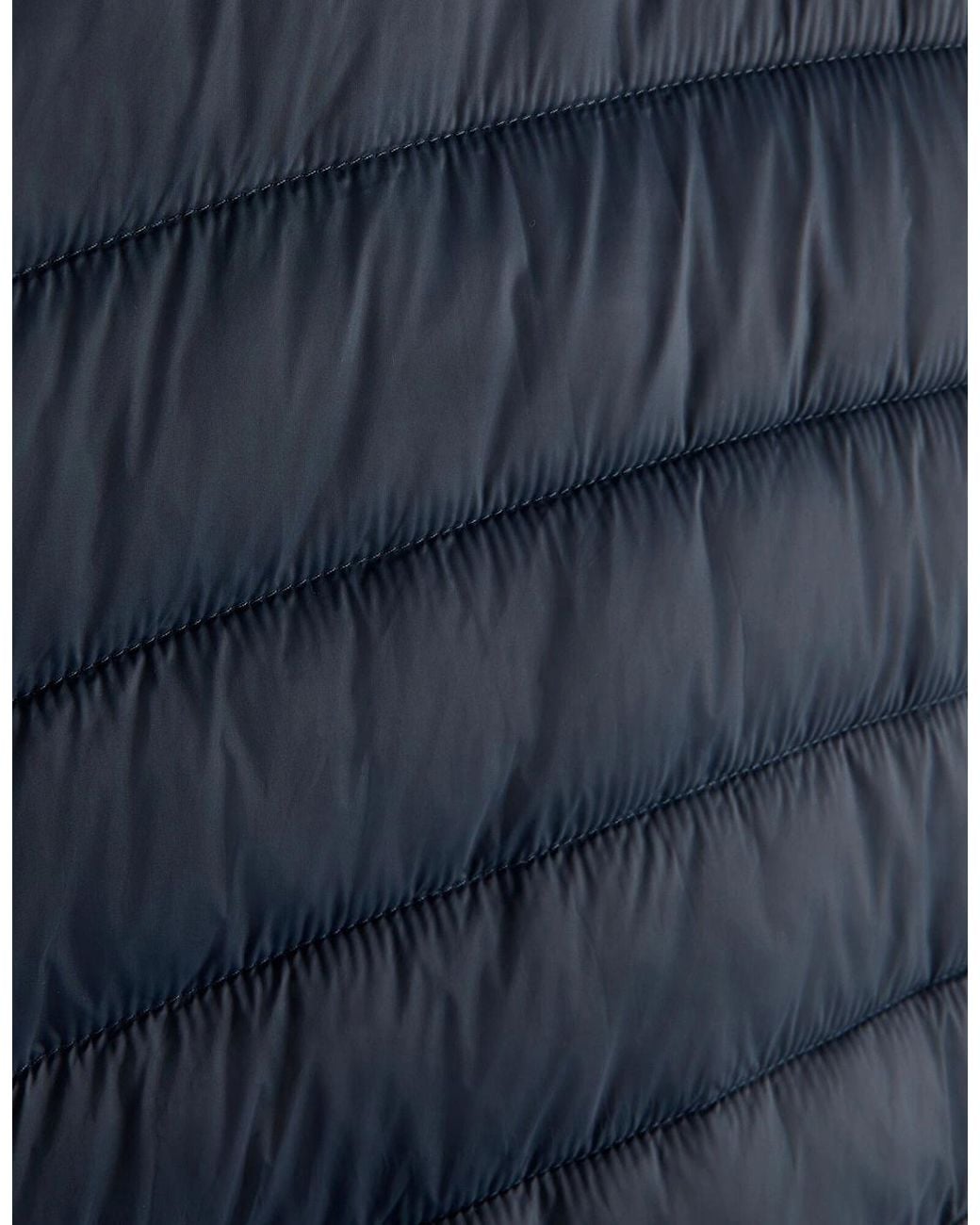 Regatta Blue Marizion Padded Jacket for men